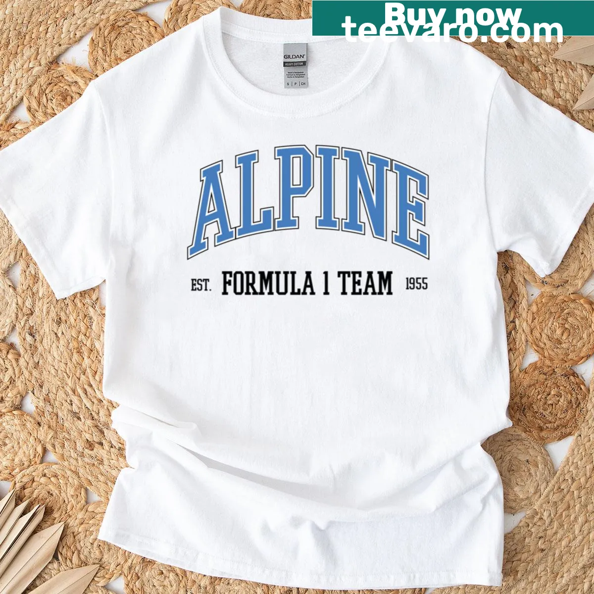 Illustrated college-style T-shirt with alpine logo — on a men's t-shirt