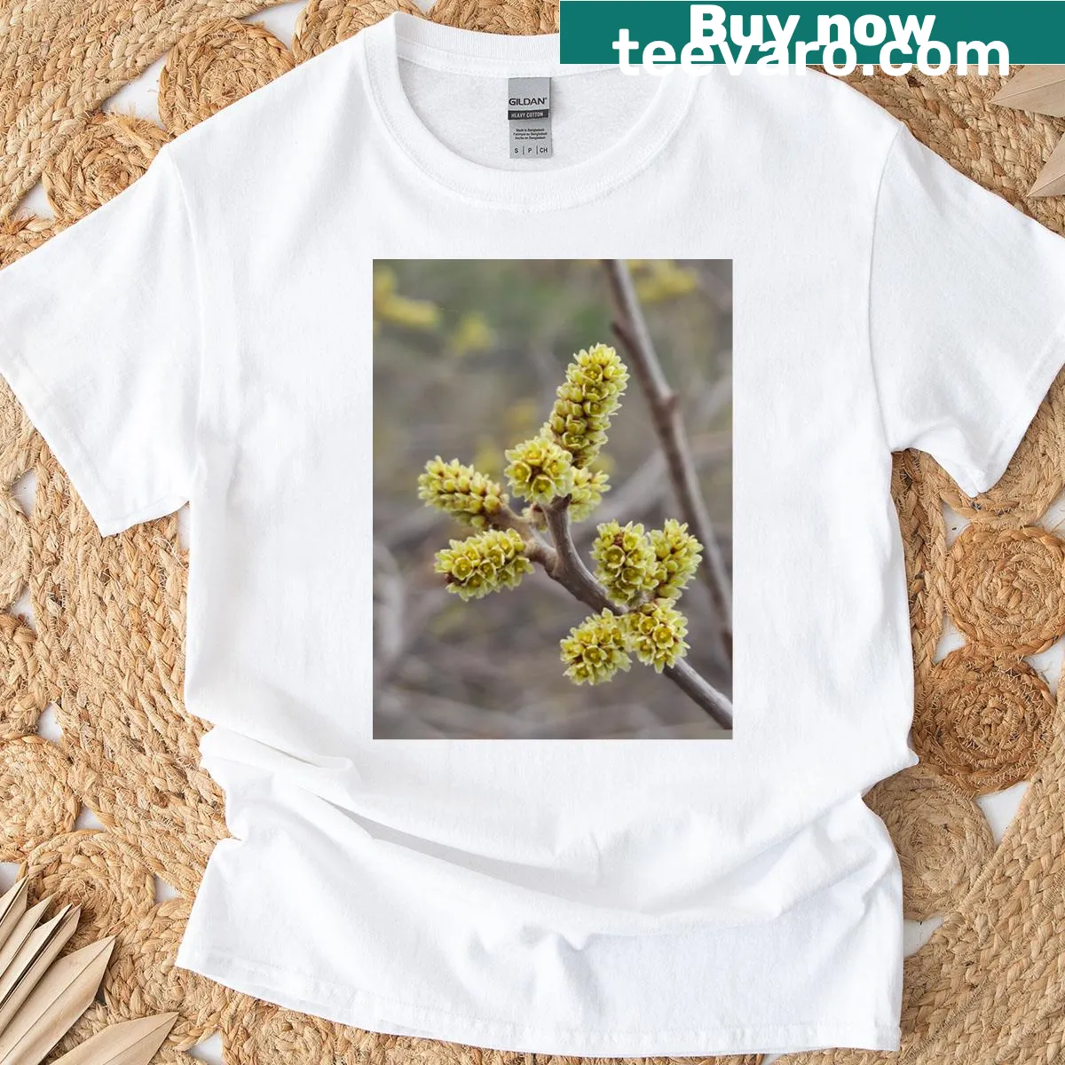 Minimalist design featuring Rhus Aromatica plant — on a men's t-shirt