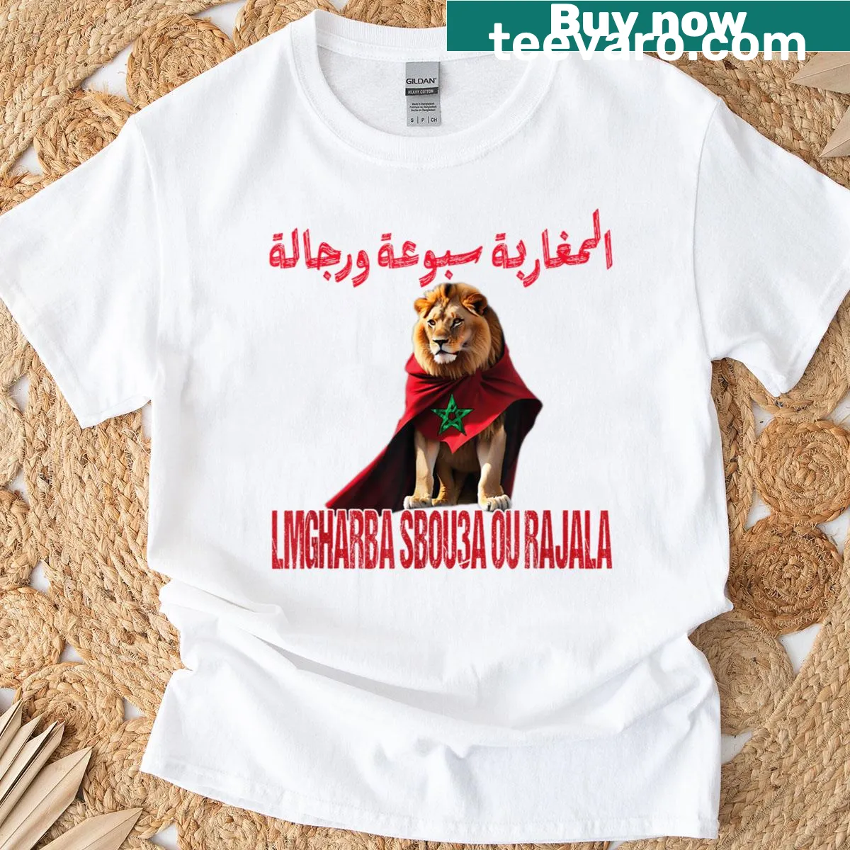 Illustration of a lion and Moroccan flag for football dad T-shirt — on a men's t-shirt