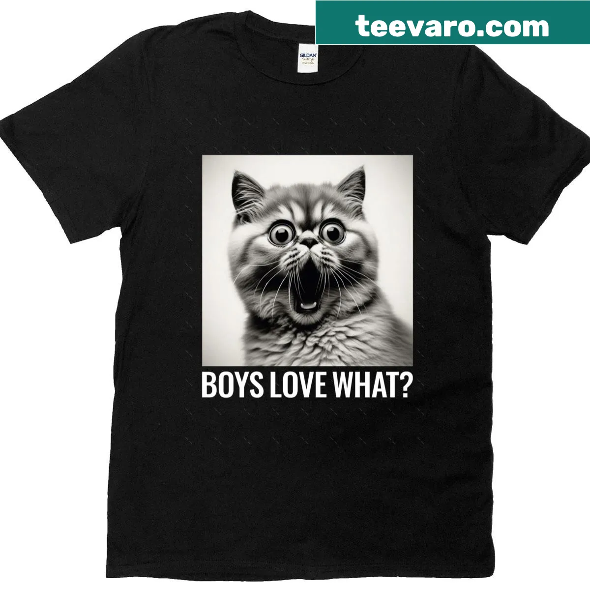 Funny T-shirt featuring bold queer expression and identity theme — on a men's t-shirt