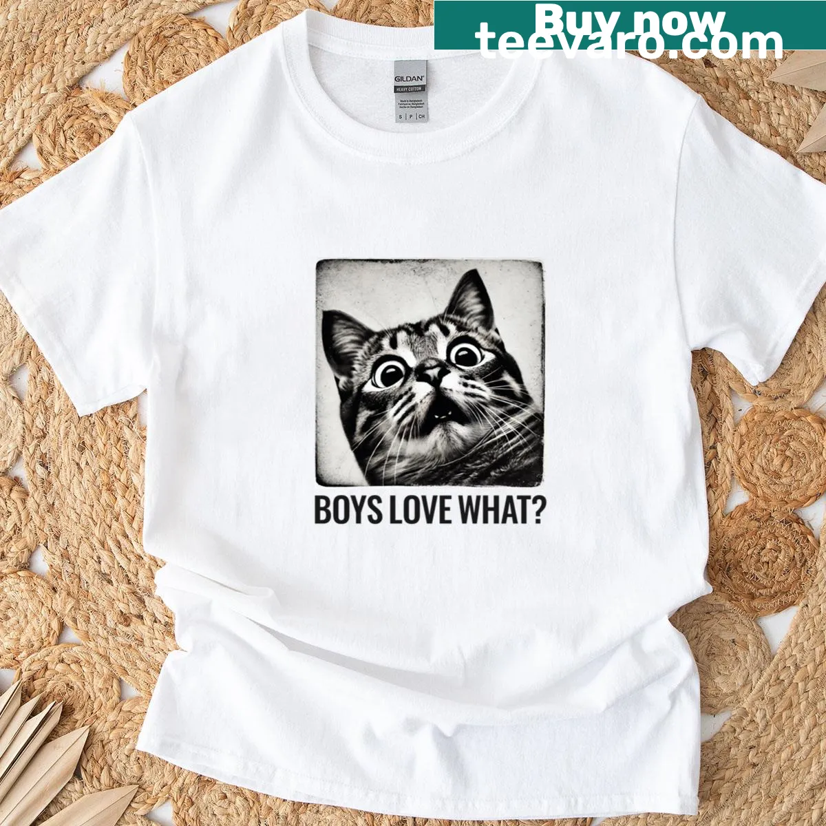 T-shirt with typography asking 'Boys Love What?' in a playful style — on a men's t-shirt