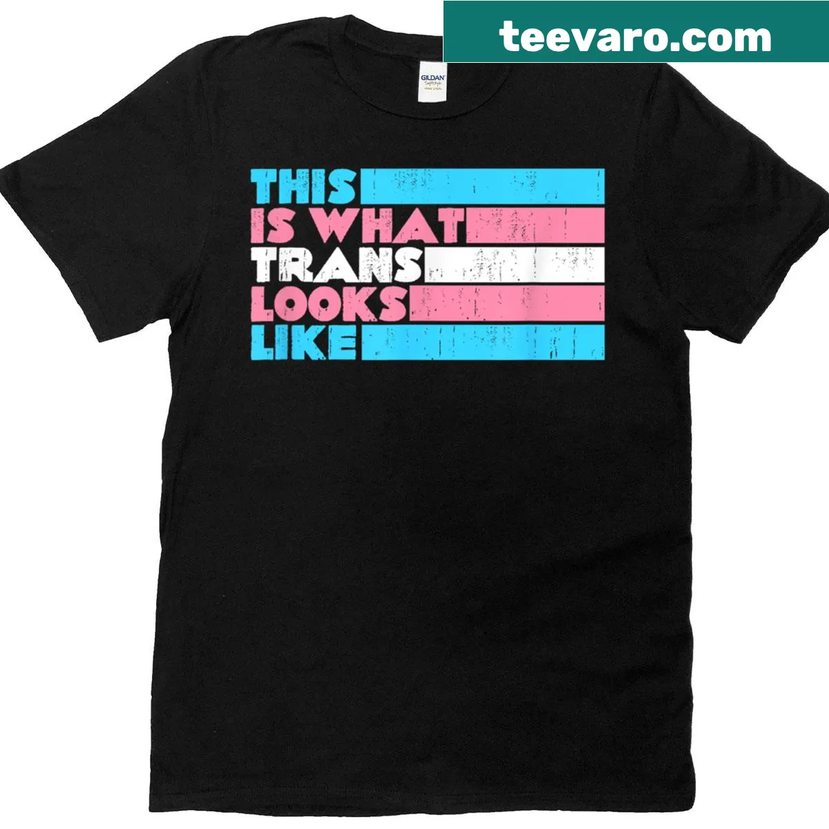 Transgender pride flag and text graphic on a t-shirt — on a men's t-shirt
