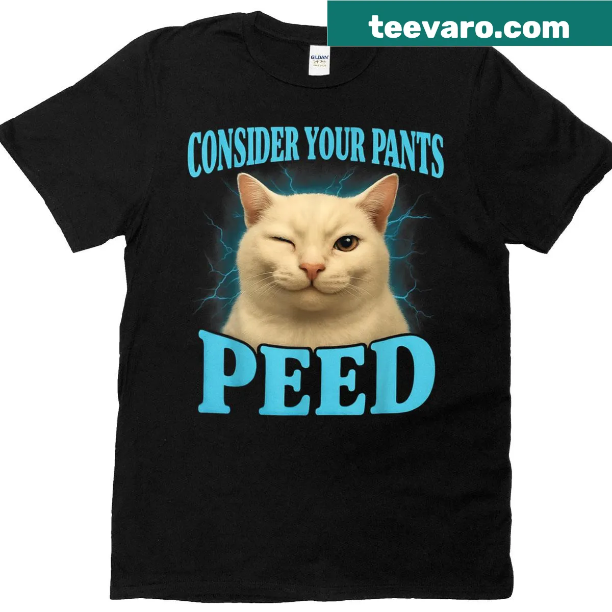 Funny cat meme T-shirt with humorous saying about pants — on a men's t-shirt