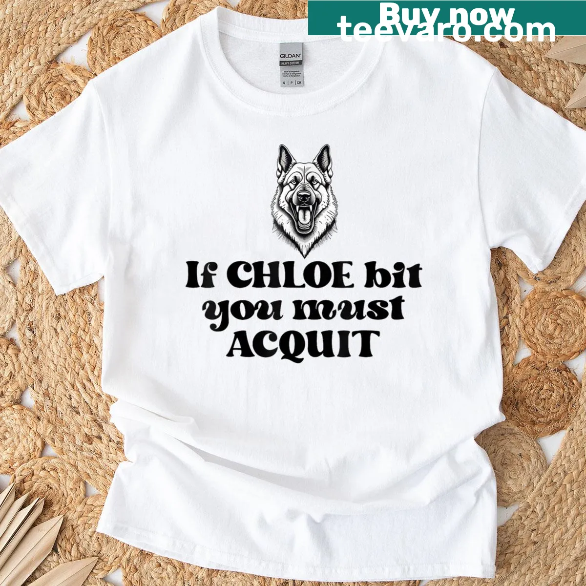 T-shirt featuring a humorous saying about a dog named Chloe — on a men's t-shirt