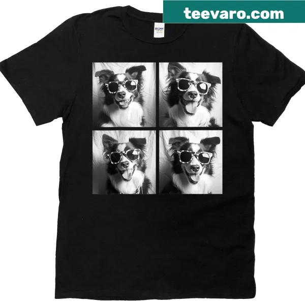 Cartoon Australian Shepherds in sunglasses on raglan t-shirt