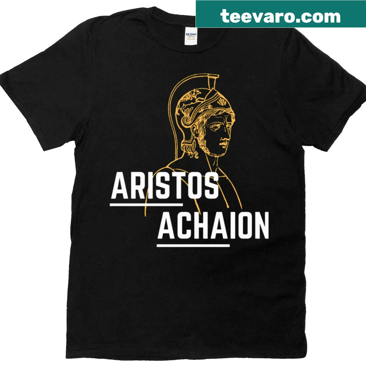 Literature-inspired t-shirt featuring The Song of Achilles — on a men's t-shirt