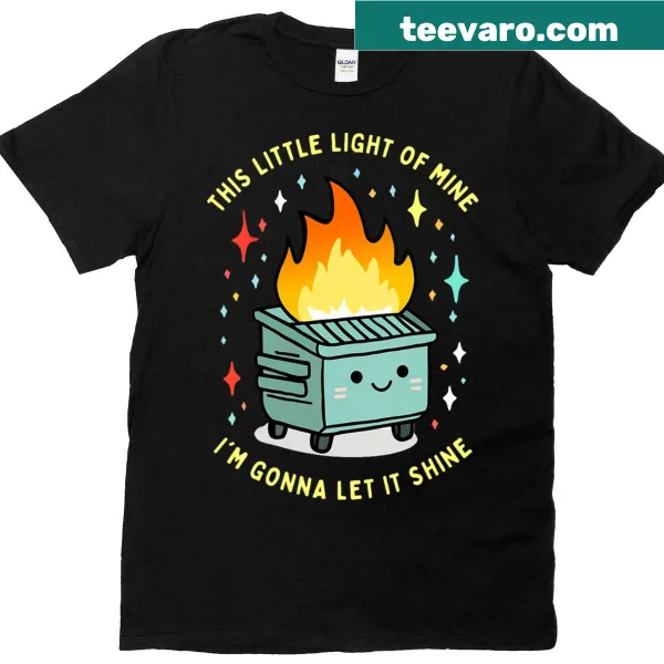 Funny dumpster fire meme V-neck t-shirt for women