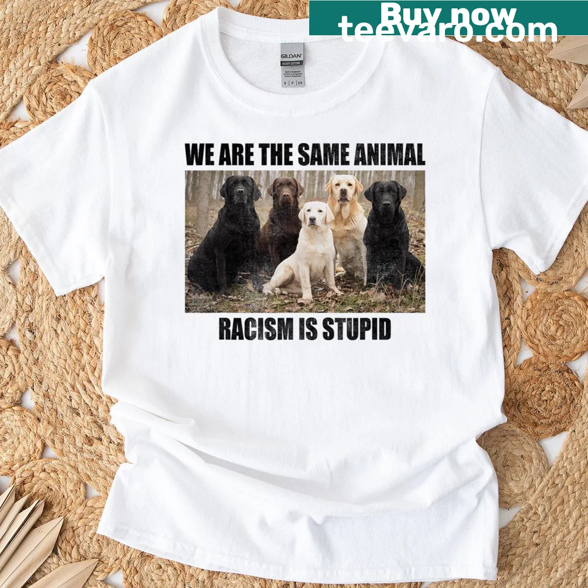 Graphic T-shirt with a dog and the phrase about equality and racism — on a men's t-shirt