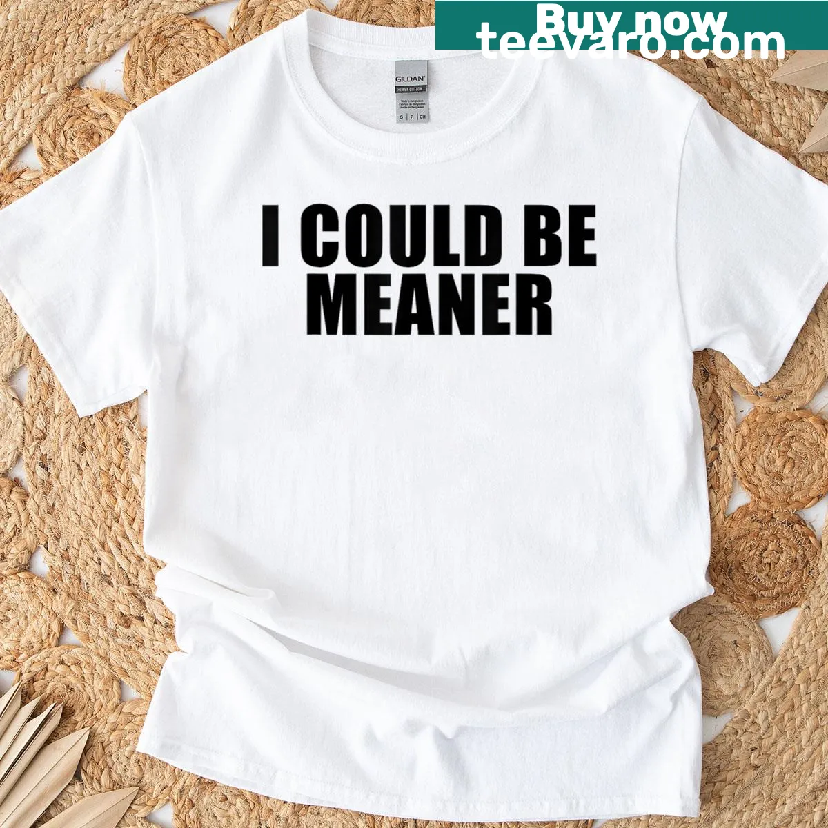 Funny sarcastic t-shirt with the phrase 'I Could Be Meaner' — on a men's t-shirt