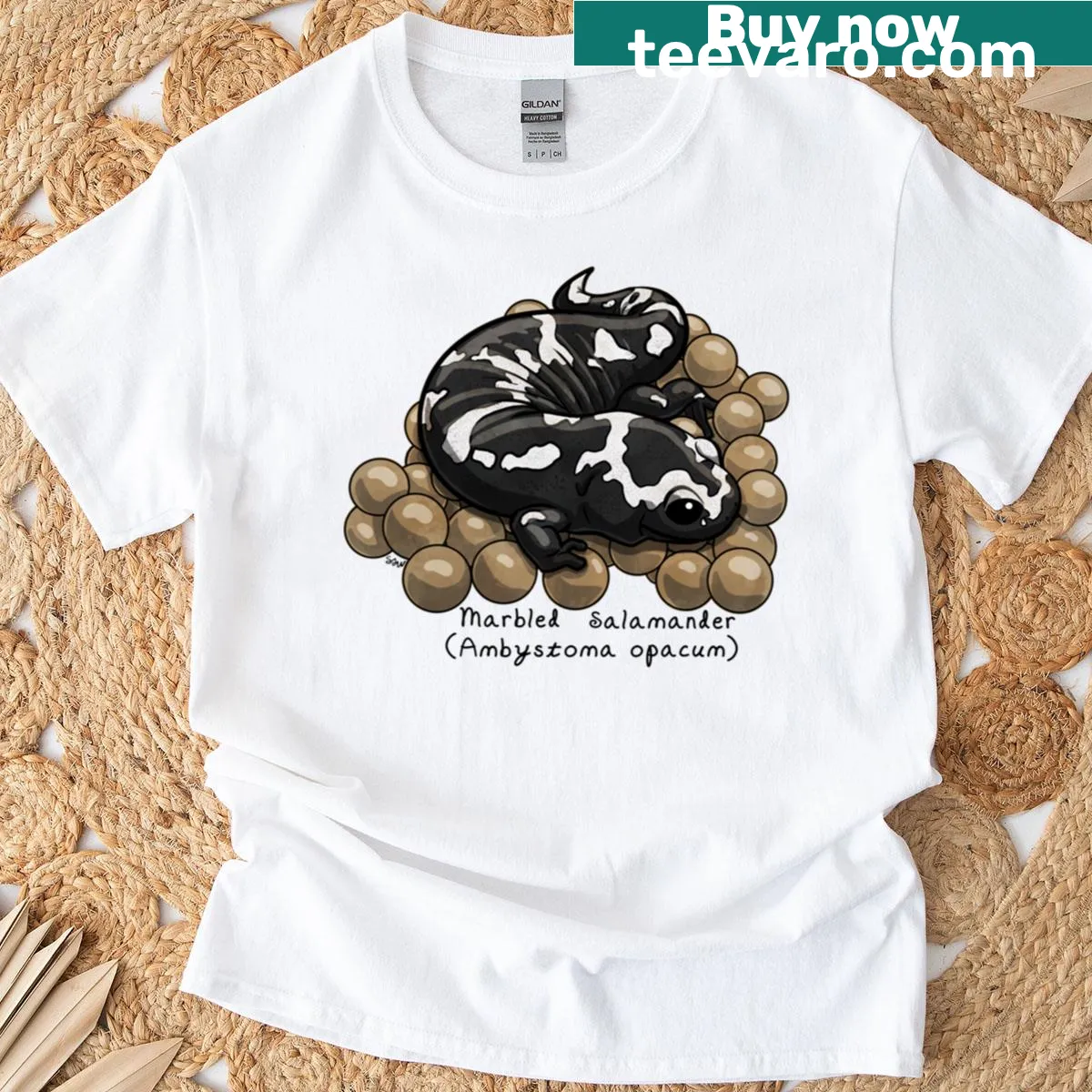 Marbled Salamander t-shirt with egg illustration — on a men's t-shirt