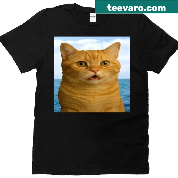 Funny cat meme graphic showing a cat stranded in the ocean