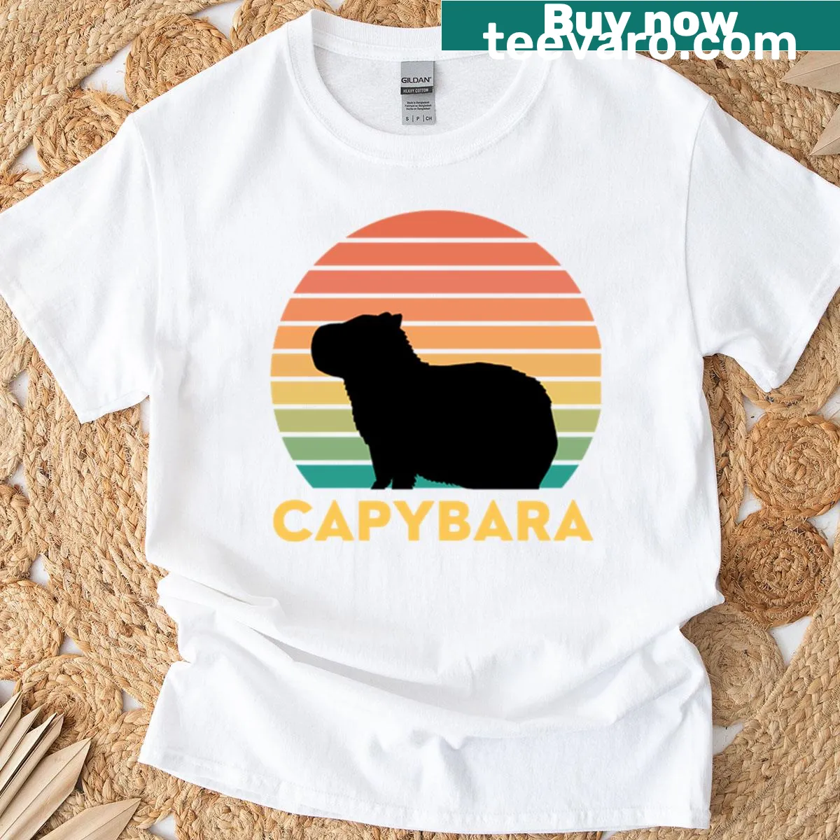 Minimalist retro capybara graphic on a stylish T-shirt. — on a men's t-shirt