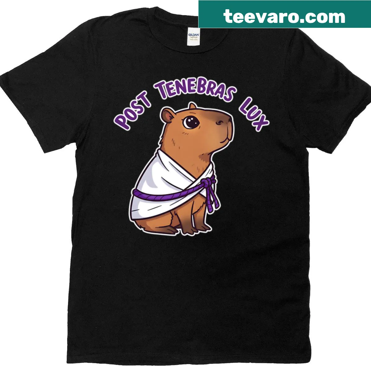 T-shirt with a capybara in a toga watching a sunrise illustration — on a men's t-shirt