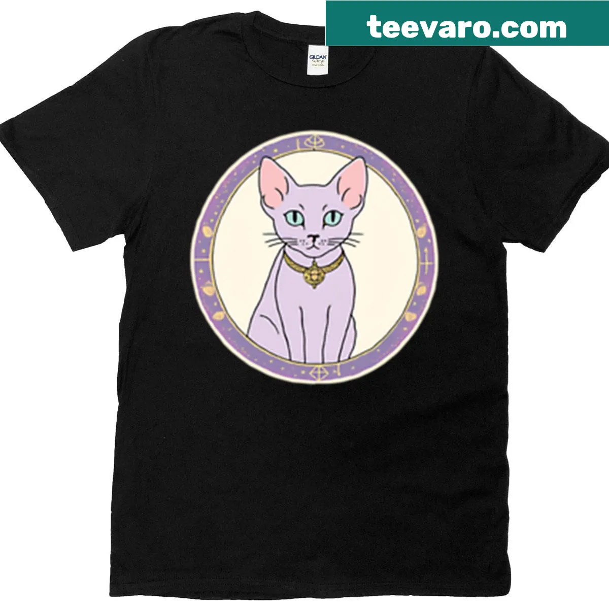 Cartoon design of a hairless cat in a celestial setting — on a men's t-shirt