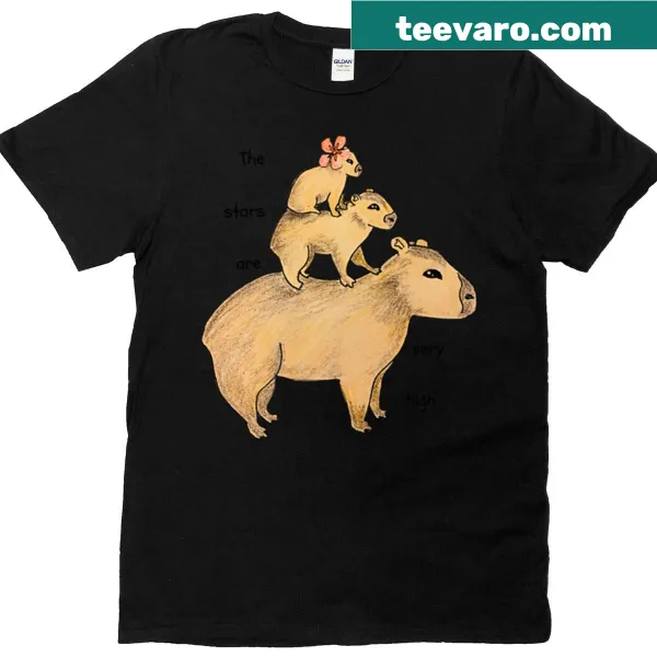 Inspirational t-shirt with 'Reach For The Stars' message