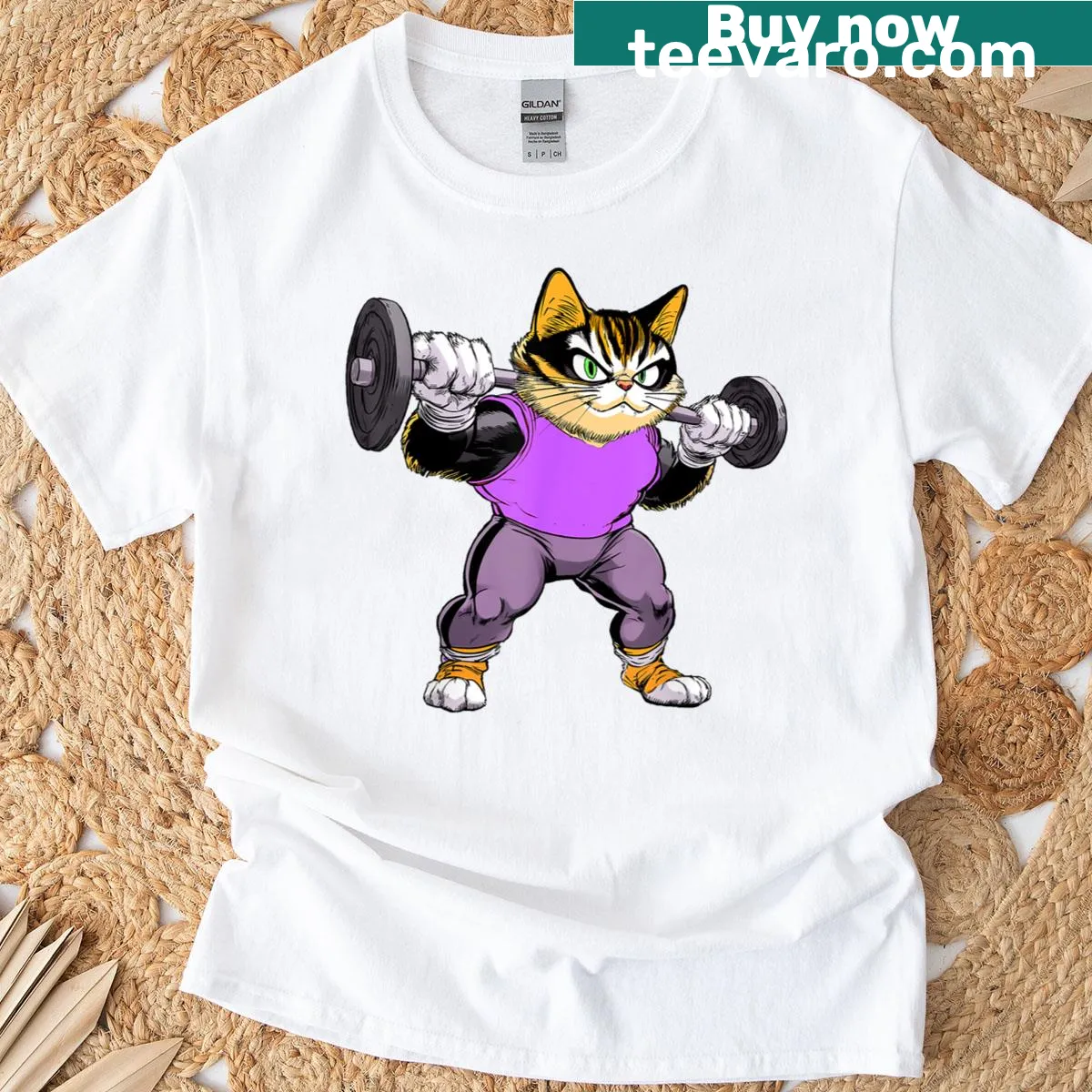 Illustration of cats in workout poses on a fitness t-shirt — on a men's t-shirt