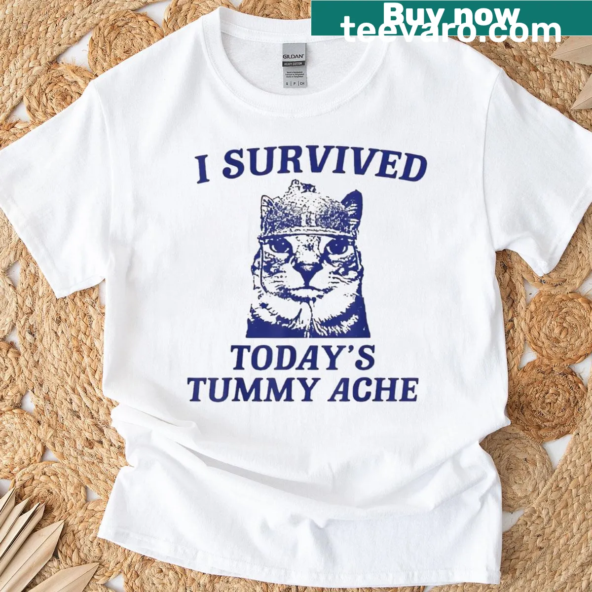 Funny T-shirt about surviving a tummy ache with cat humor — on a men's t-shirt