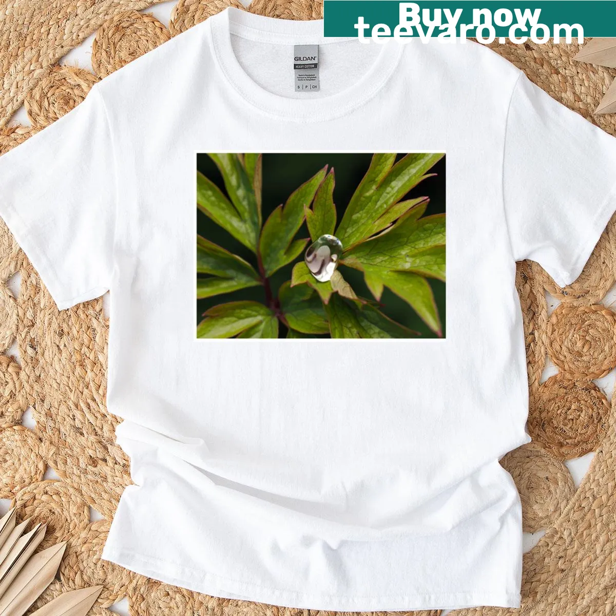 Illustration of a raindrop on bleeding heart leaves on a t-shirt — on a men's t-shirt