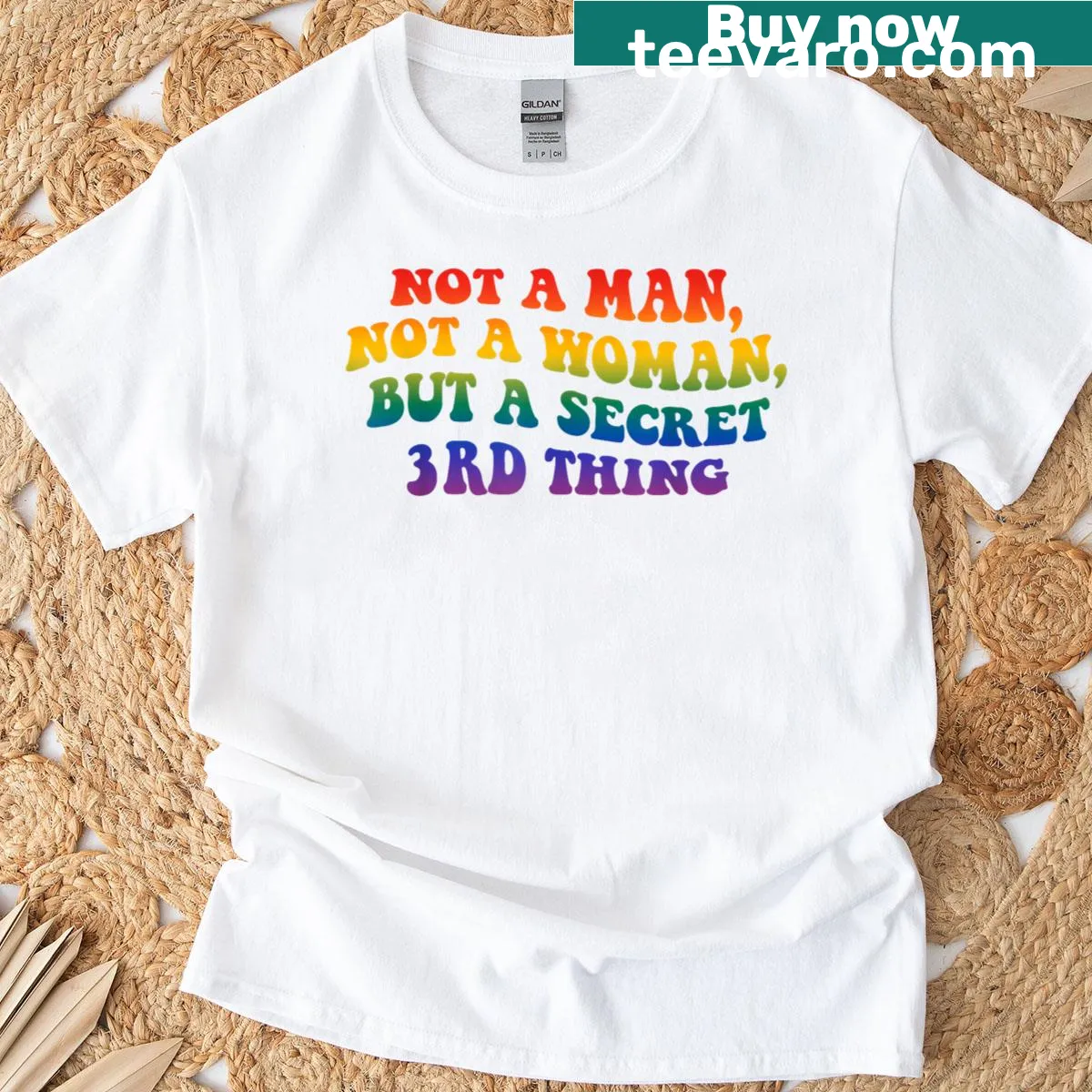 Funny LGBTQ pride T-shirt with humorous gender identity phrase — on a men's t-shirt