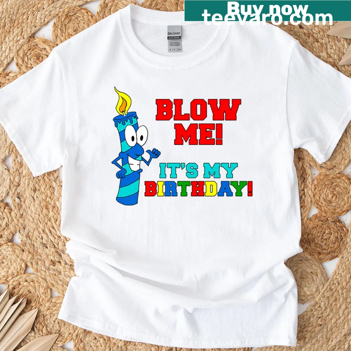 T-shirt with a rude cartoon candle and text: 'Blow Me It's My Birthday.' — on a men's t-shirt
