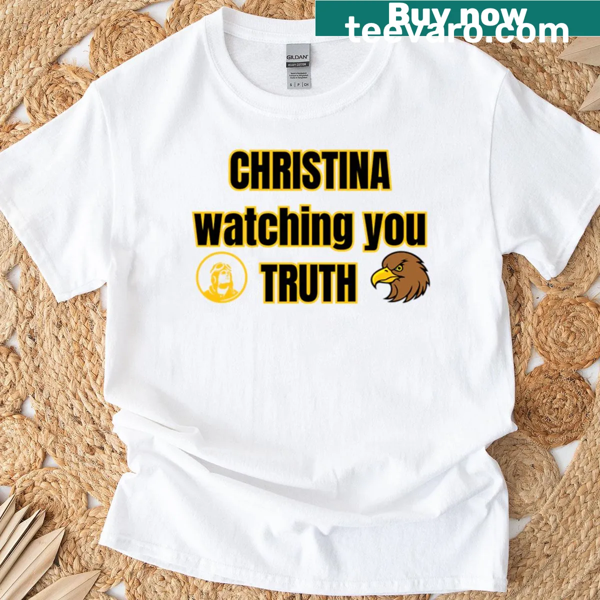 Illustration of Christen Eagle aircraft on an aviation-themed T-shirt — on a men's t-shirt