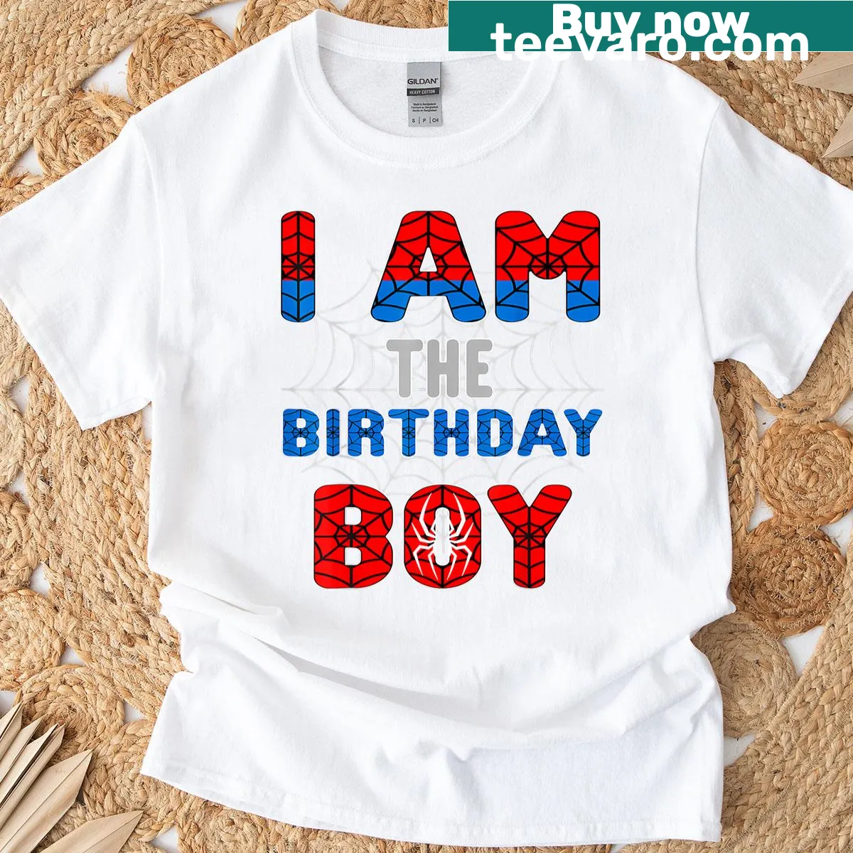 Cartoon birthday shirt with spider web design and text 'I'm The Birthday Boy' — on a men's t-shirt