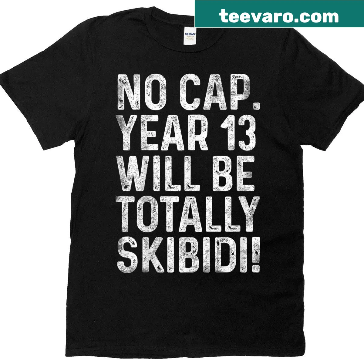 Birthday T-shirt for a 13-year-old with humorous text — on a men's t-shirt