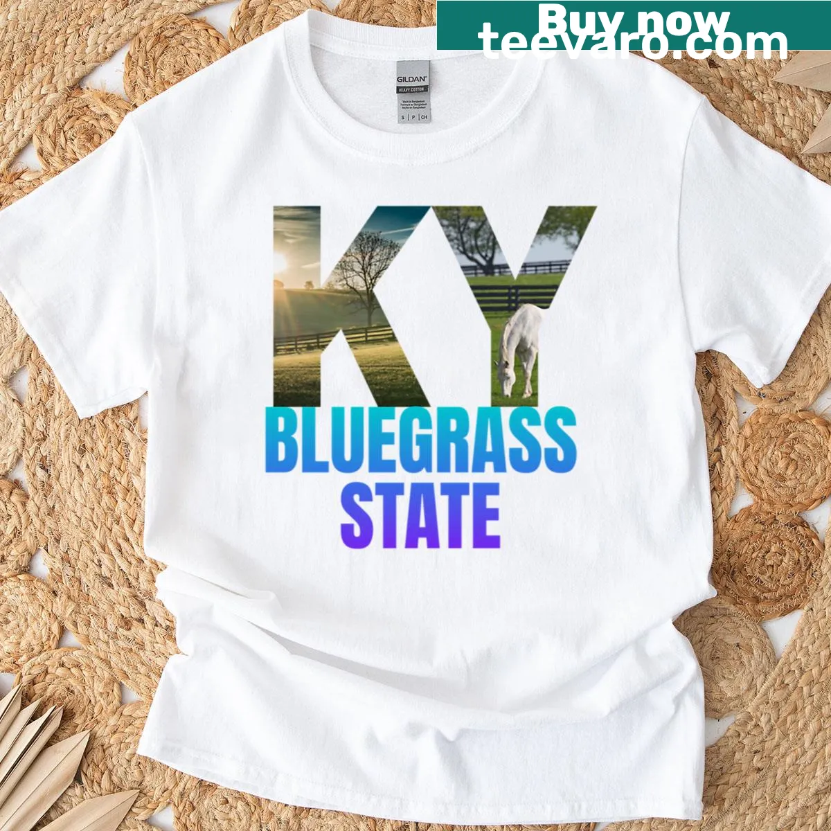 Kentucky Bluegrass State t-shirt with landscape illustration — on a men's t-shirt