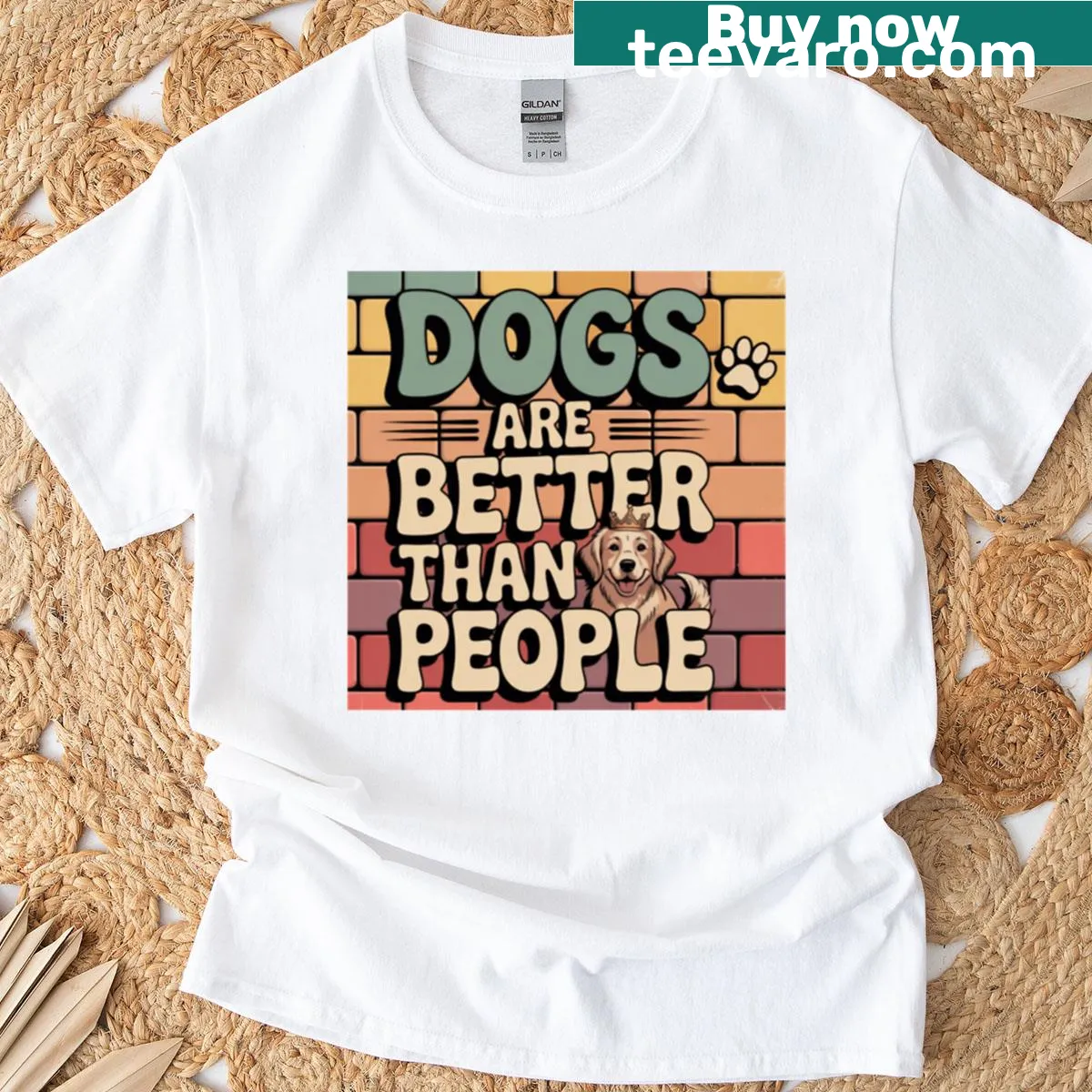 Oversized T-shirt with vintage-style text declaring dogs are better than people — on a men's t-shirt