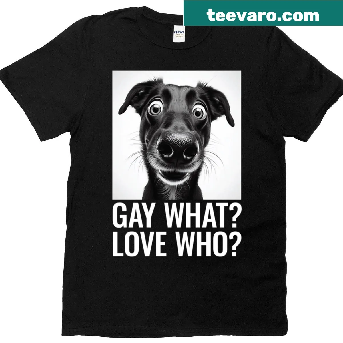 Bold LGBTQ pride t-shirt with the phrase 'What Love Who' — on a men's t-shirt
