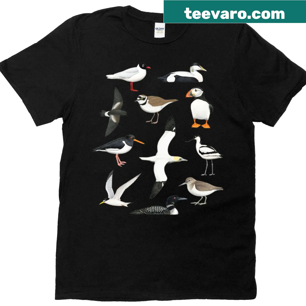 Illustration of seabirds and waterbirds on t-shirt — on a men's t-shirt