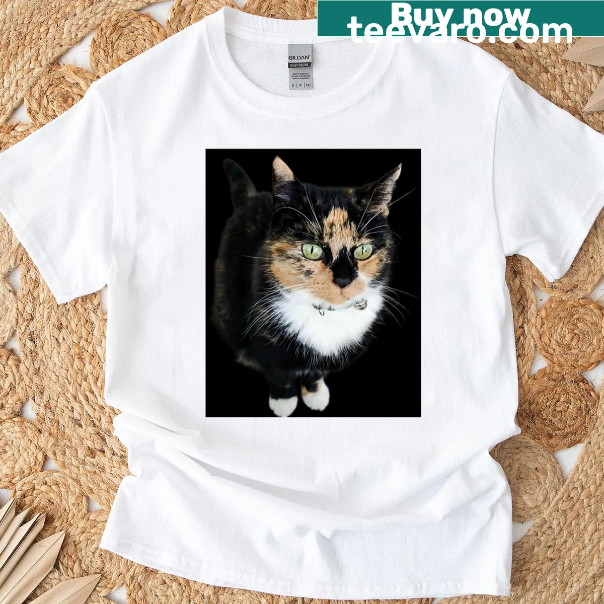 Playful graphic T-shirt celebrating life with a cat. — on a men's t-shirt