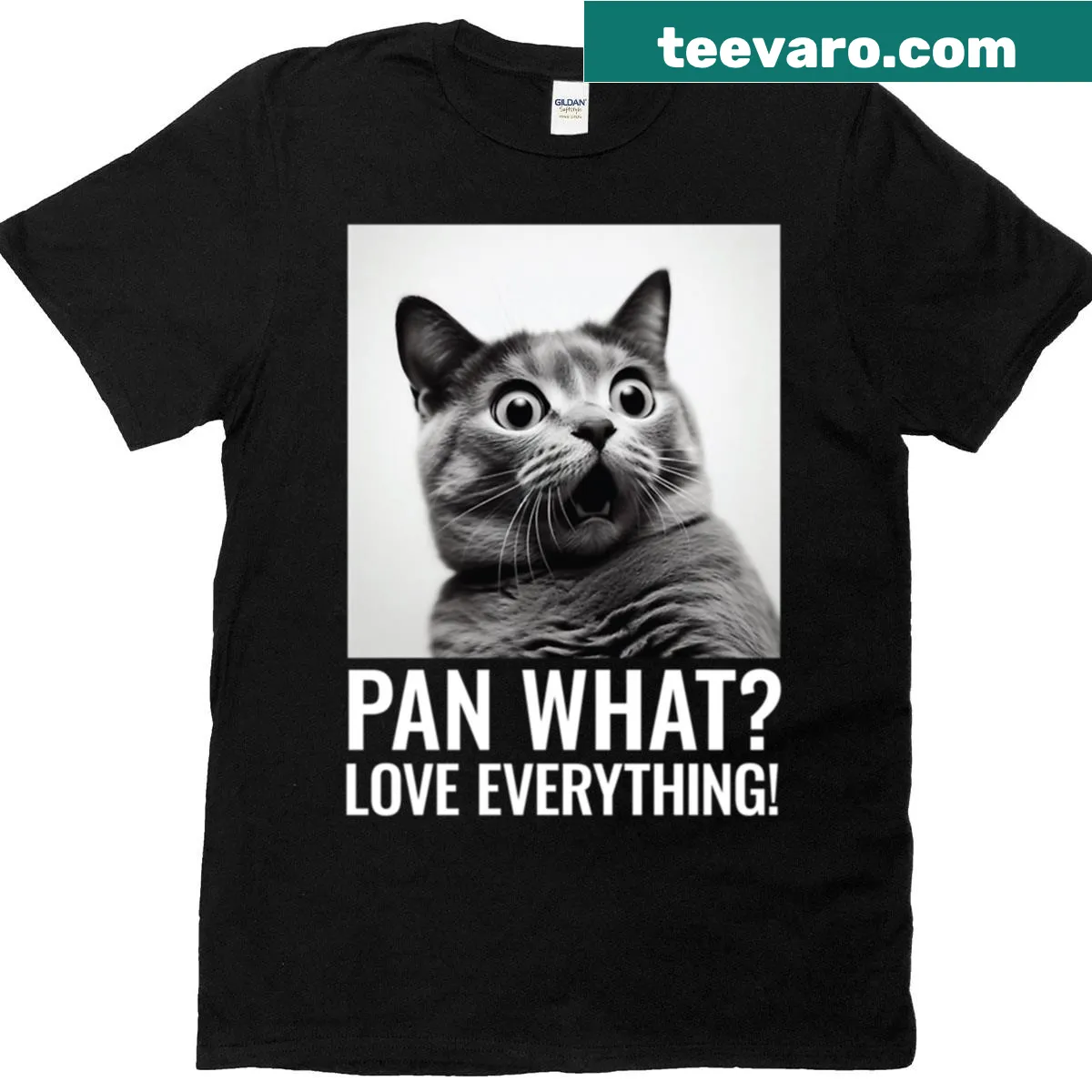 Bold typographic design celebrating pansexual pride — on a men's t-shirt