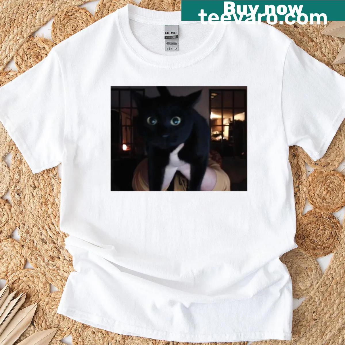 Illustrated Caseohs Kitty t-shirt with cartoon design — on a men's t-shirt