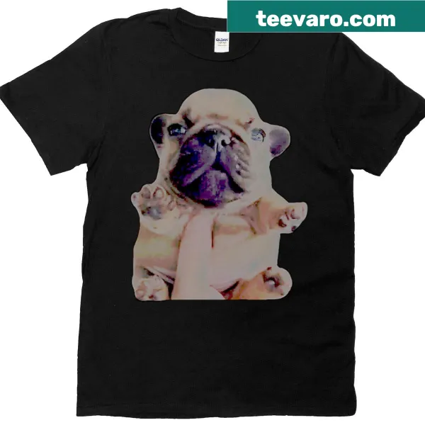 Funny meme graphic featuring a Pibble dog