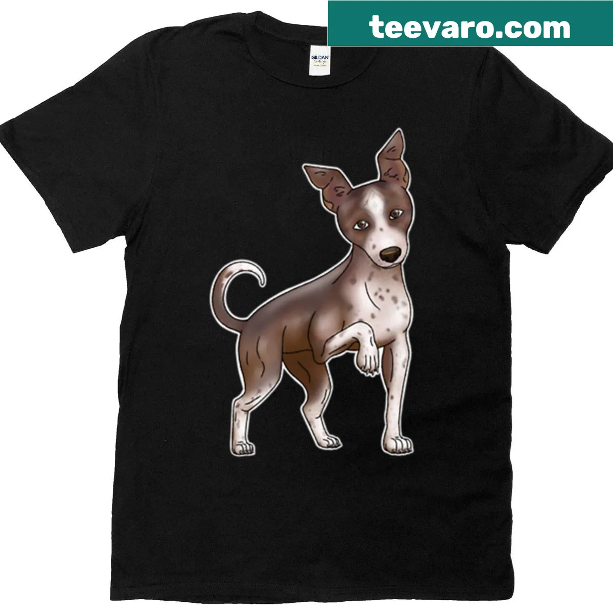 Oversized T-shirt featuring an illustration of an American Hairless Terrier — on a men's t-shirt