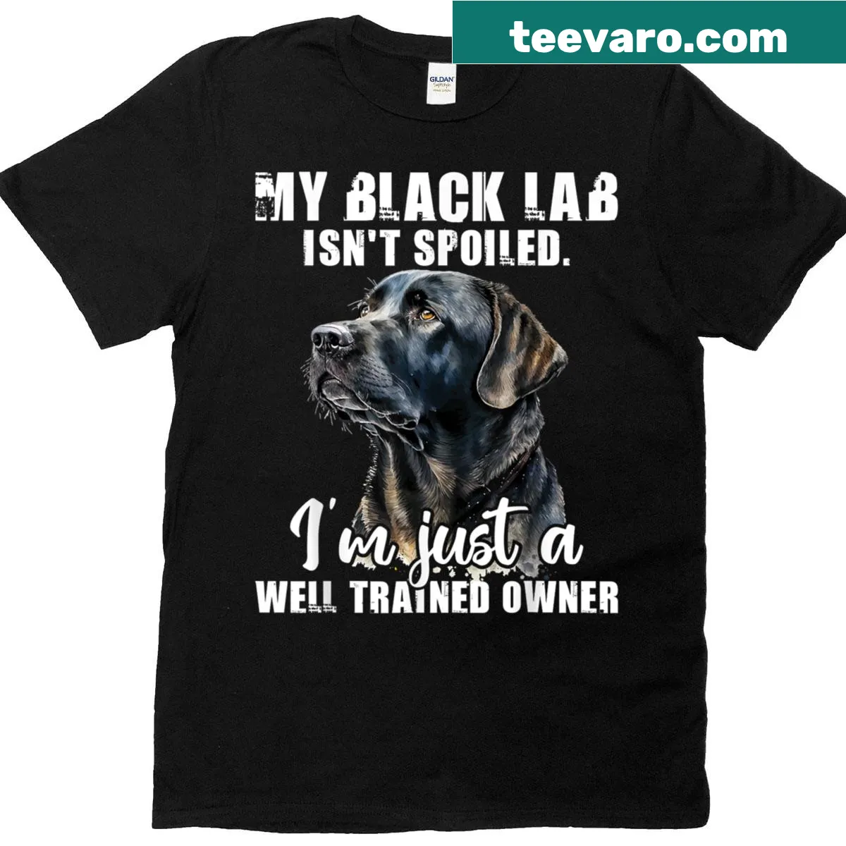 Funny t-shirt for dog owners with 'My Black Lab Isn't Spoiled' text — on a men's t-shirt