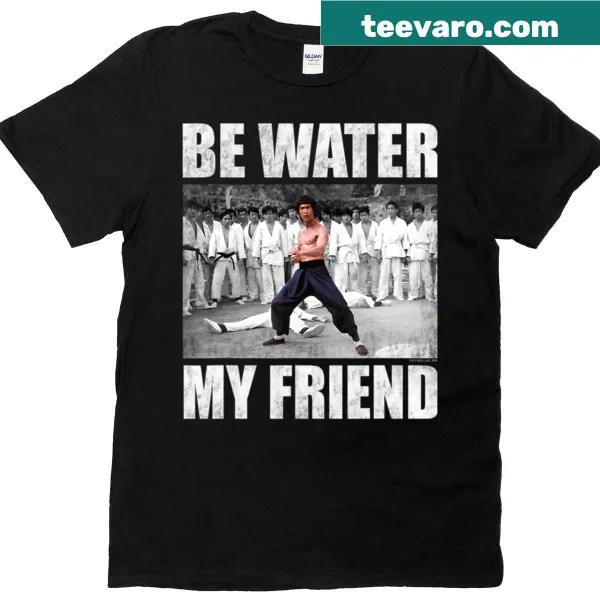Vintage t-shirt honoring Dragonlee, a master of kung fu films