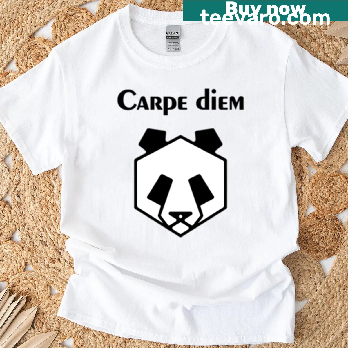 Line art of a panda with 'Carpe Diem' on a t-shirt — on a men's t-shirt