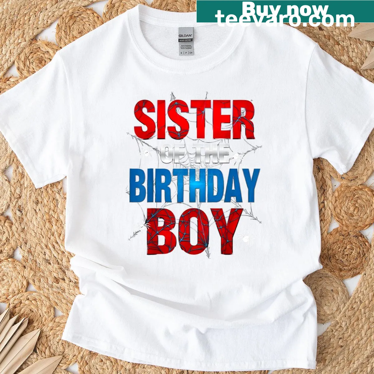 Cute T-shirt for the Sister of the Birthday Boy with a spider web design — on a men's t-shirt