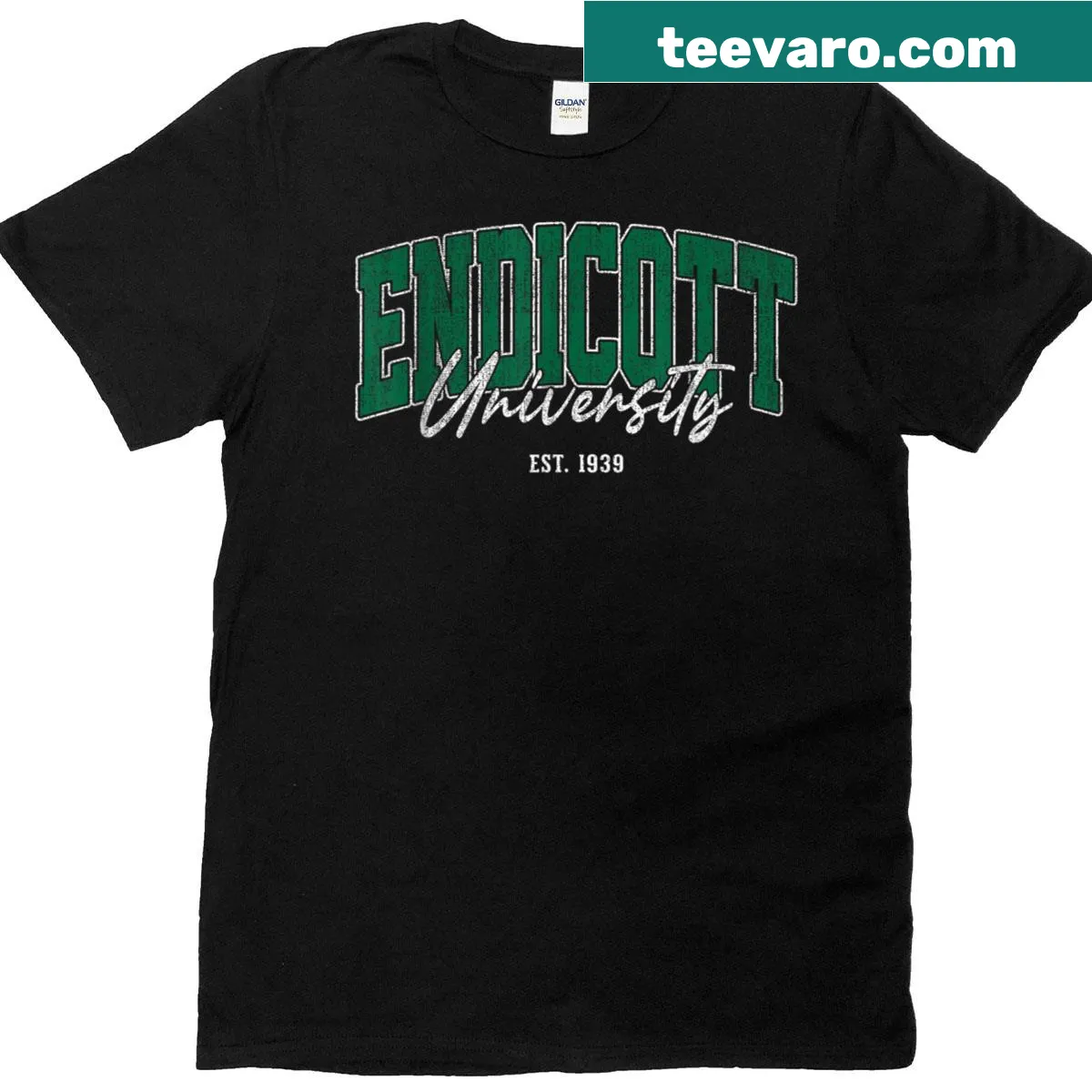 Retro university graphic on a casual T-shirt for alumni and students — on a men's t-shirt