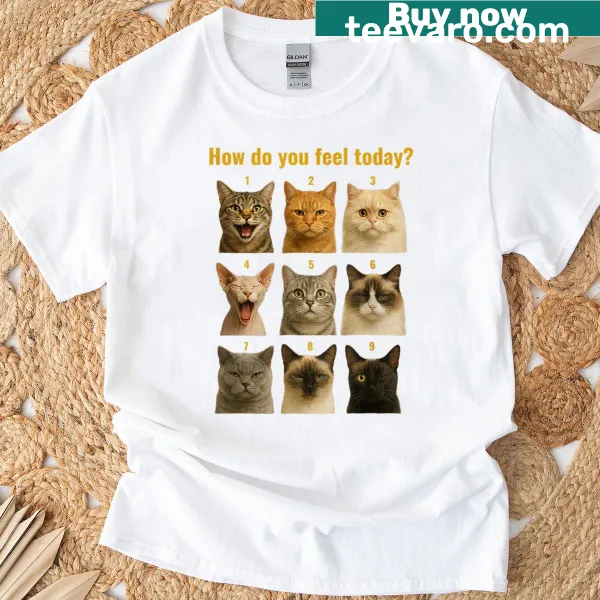 Cat mood chart illustration on a funny t-shirt