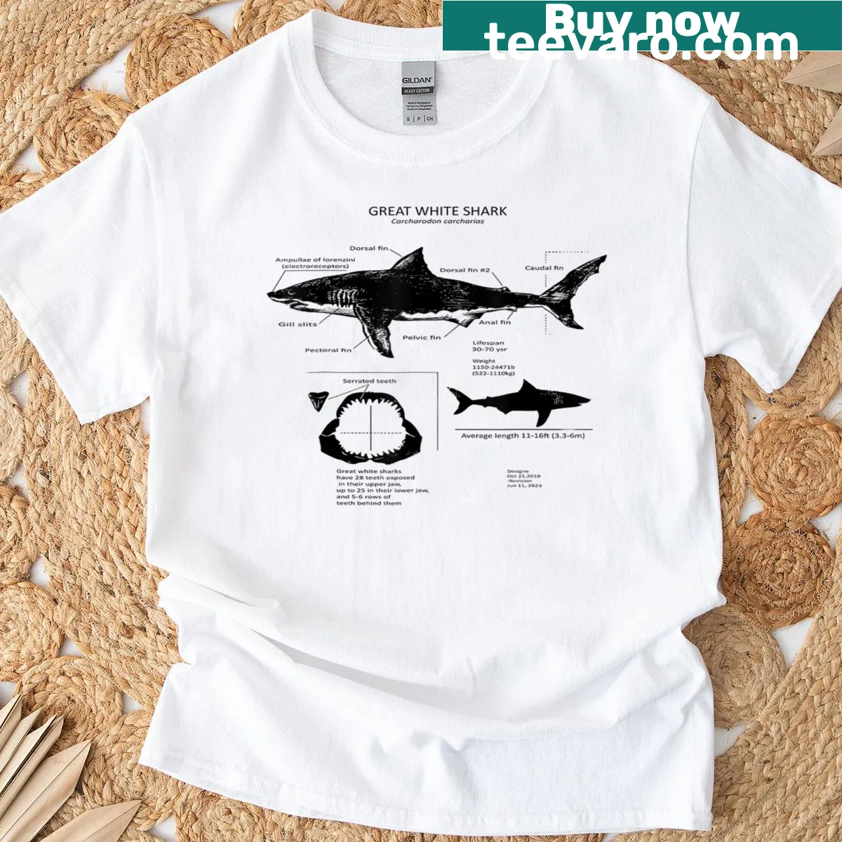 Illustration of great white shark anatomy on a T-shirt — on a men's t-shirt