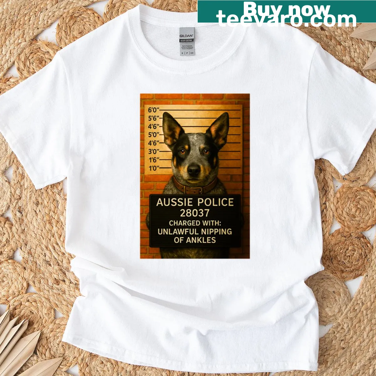 Funny Blue Heeler mugshot t-shirt featuring Aussie cattle dog art — on a men's t-shirt