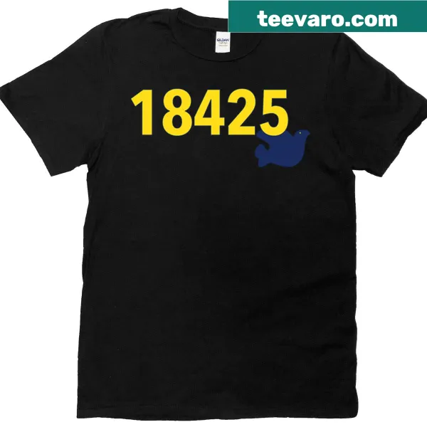 Minimalist typography t-shirt with '18425 Zip City' design.