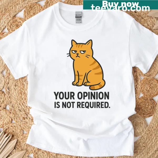 Humorous t-shirt depicting a grumpy orange cat with text