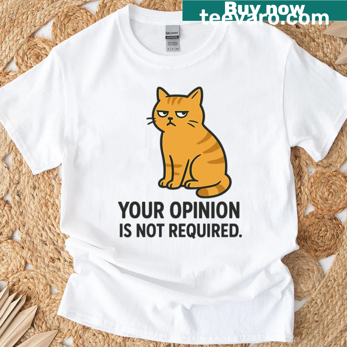 Humorous t-shirt depicting a grumpy orange cat with text — on a men's t-shirt