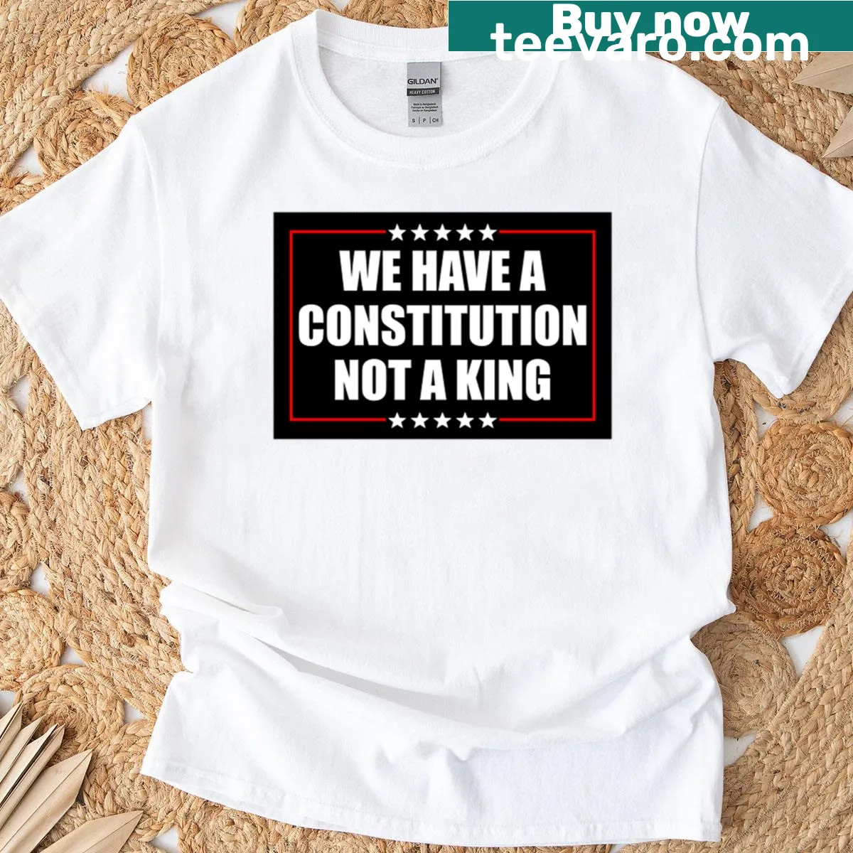 Activism T-shirt with the quote We Have A Constitution Not A King — on a men's t-shirt