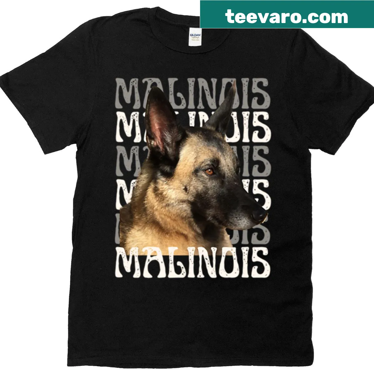 Malinois Appreciation T-shirt with illustration of the breed — on a men's t-shirt
