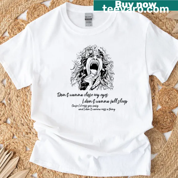 Aerosmith I Dont Wanna Miss A Thing T-shirt with bold typography